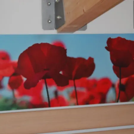 Ilario Ριτσιόνε